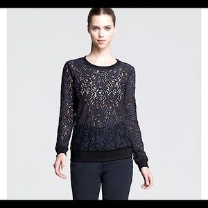 THEORY Jaidyn Sheer Lace Top